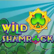 Wild Shamrock